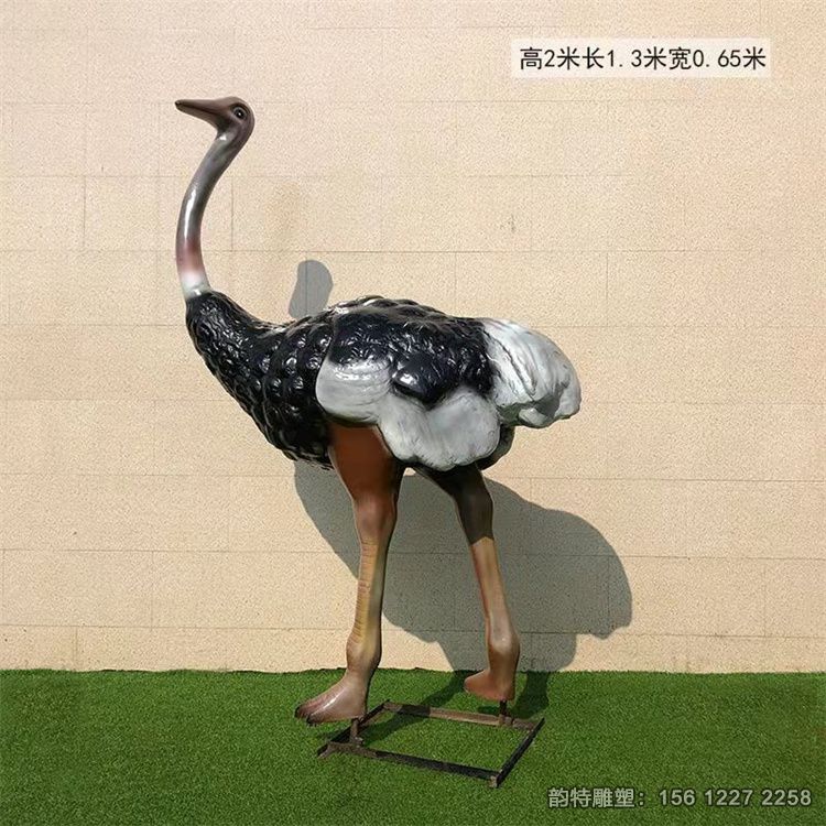 鴕鳥(niǎo)3