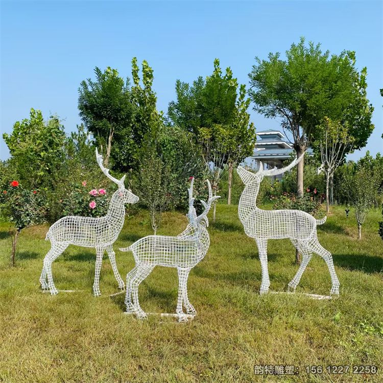 微信圖片_202506090959062